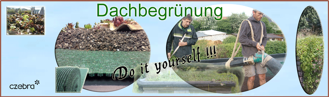Aufbau-Dachbegruenung