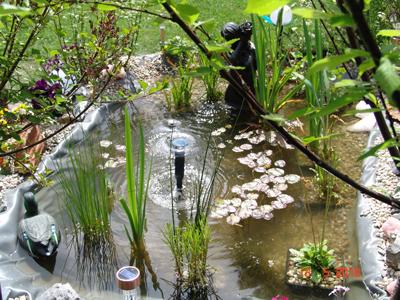 kleiner-Gartenteich